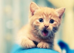 赏金国际pg的技术创新与行业变革分析 赏金国际pg的技术创新与行业变革分析