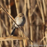 胜天国际app的游戏活动:参与赢取丰厚奖励 91222z03z