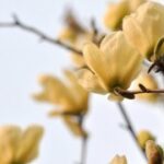 参与赏金国际娱乐活动,赢取惊喜大奖 i8wtiy