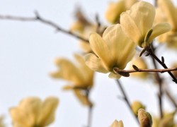 参与赏金国际娱乐活动,赢取惊喜大奖 参与赏金国际娱乐活动,赢取惊喜大奖