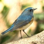 赏金国际pg的市场营销策略与推广方式 lc0n9