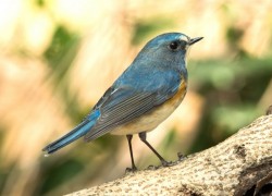 赏金国际pg的市场营销策略与推广方式 赏金国际pg的市场营销策略与推广方式