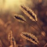 胜天国际app的客服支持:解决问题的最佳途径 ql25qd