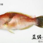 赏金国际app的社交功能:如何与其他用户互动 s78gi