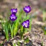 如何利用赏金国际app进行网络营销,拓展你的业务 sh311lfk