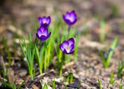 如何利用赏金国际app进行网络营销,拓展你的业务 如何利用赏金国际app进行网络营销,拓展你的业务