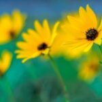 如何在赏金国际娱乐中提高胜率的技巧 th5qncq2